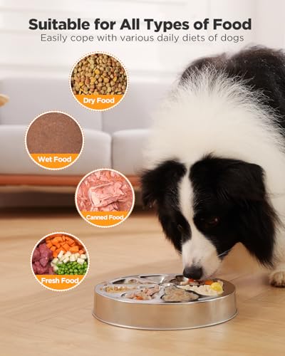 Slow Feeder Dog Bowls – Stainless Steel Non-Slip Metal Bowl for Slow Feeding, 5 Cups Large Capacity, Double-Sided Design for Dry, Wet, or Raw Food, Ideal for Small, Medium, Large Dogs - size: Large