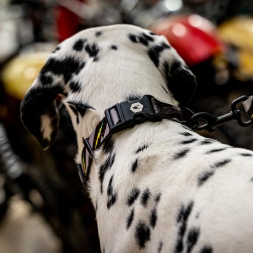 Wolfgang Heavy Duty, Adjustable Dog Collar with Quick Release Nylon Buckle for Walking & Training, DarkSkies Print, Small - color: DarkSkies Print, size: Small (5/8 Inch x 8-12 Inch)