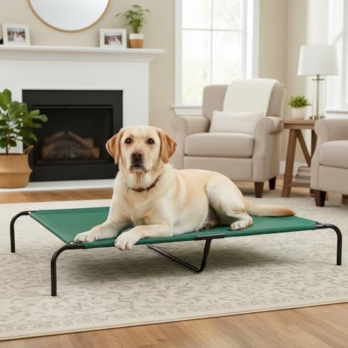 Amazon Basics Cooling Breathable Elevated Dog Bed with Durable Metal Frame for Large Dogs, X-Large, 60 x 37 x 9 Inch, Green, Easy to Clean - color: Green, size: X-Large