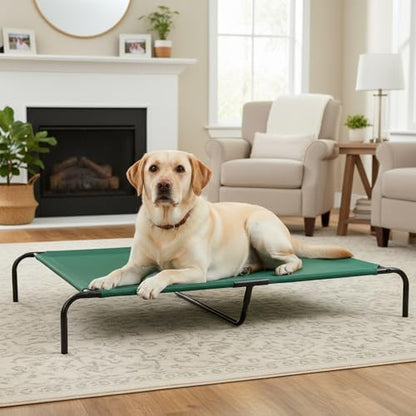 Amazon Basics Cooling Breathable Elevated Dog Bed with Durable Metal Frame for Large Dogs, X-Large, 60 x 37 x 9 Inch, Green, Easy to Clean - color: Green, size: X-Large