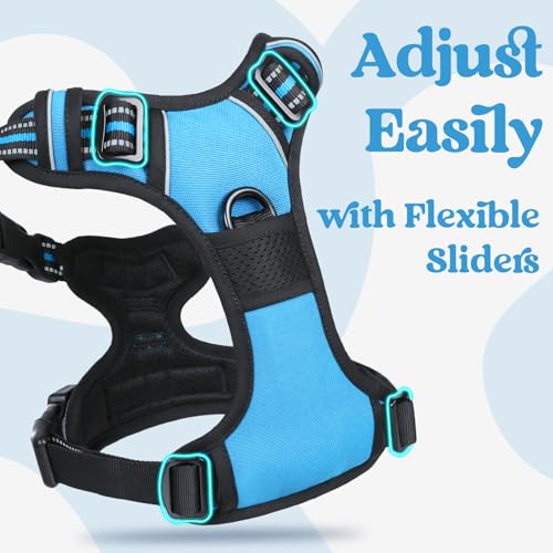 rabbitgoo Dog Harness Small Sized, No Pull Pet Harness with 3 Buckles, Adjustable Soft Padded Vest with Control Handle, Walking Reflective Pet Vest for Small Dogs, Sky Blue, S - color: Sky Blue, size: Small