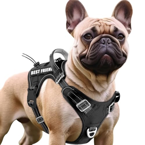 BARKBAY Service Dog Vest Tactical Dog Harness Medium Large Sized Dog No Pull Adjustable Dog Harness Reflective K9 Working Training Easy Control Military Molle System(Black,S) - color: Black, size: Small