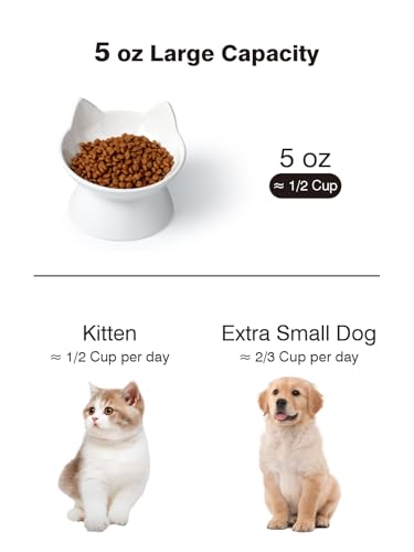 ABRUTY Cat Food Bowl, 5 OZ Ceramic Elevated Kitten Water Bowl, 15° Tilted Raised Pet Feeder, Anti Vomiting and Whisker Friendly Dishes for Fat Faced, Cat, Kitten, Small Dog - color: White Cat, size: 2 Pack
