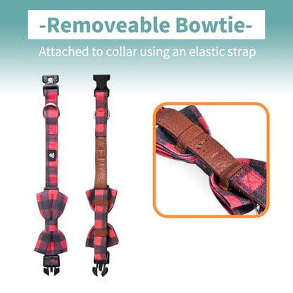 IVY&LANE Dog Collar with Bowtie and Leash Set | Plaid Adjustable Dog Collar | Detachable Bow Tie |5 FT Dog Leash | for Small Medium Large Dogs | Checkered Red | Small - color: Checkered Red, size: S