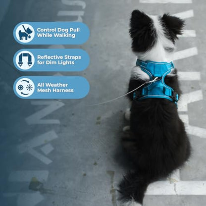 Voyager Dog Harness Dual Leash Attachment No-Pull Control Adjustable Soft but Strong Pet Harness for Medium and Large Dogs with 3M Reflective Technology, Turquoise Nylon, XS (Chest: 13-16") - color: Turquoise Nylon, size: XS (Chest: 13 - 16")