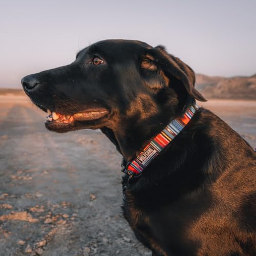 Wolfgang Heavy Duty, Adjustable Dog Collar with Quick Release Nylon Buckle for Walking & Training, Quetzal Print, Small - color: Quetzal Print, size: Small (5/8 Inch x 8-12 Inch)