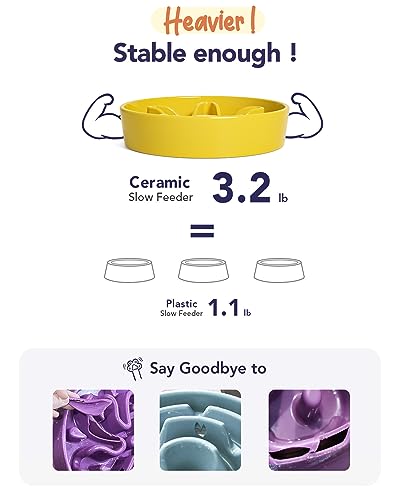 LE TAUCI Slow Feeder Dog Bowls Ceramic, 1.5 Cups Dog Food Bowl, Puppy Slow Feeder Dish for Fast Eaters, Star Yellow - color: Star Yellow, size: M-1.5 Cups