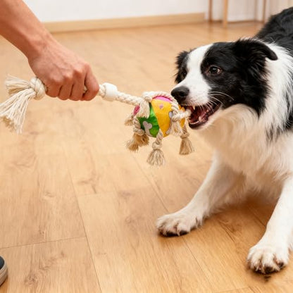 Indestructible Bear Dog Rope Toy with Rope for Aggressive Chewers, Tug of War Dog Toy Durable Chew-Resistant Interactive Ball for All Breeds (Tug Ball) - color: Tug Ball