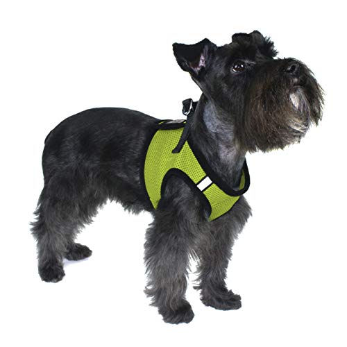 Dogline Boston Step in Mesh Dog Harness with Service Dog Patch No Choke Pet Vest Soft Gentle Padded Chest Halter for Puppies Small Medium and Large Dogs 21 to 24 inches Girth Lime Green - color: Lime Green, size: Girth 21 to 24"