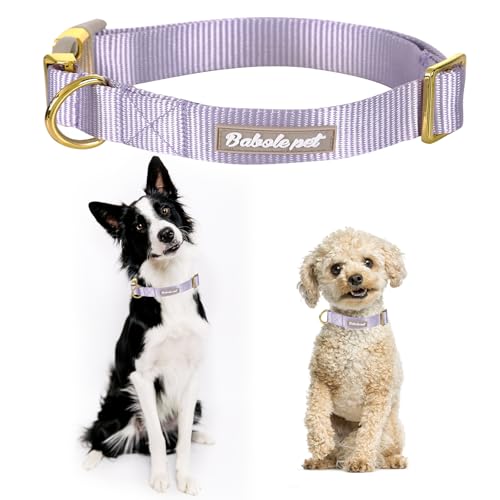 Nylon Dog Collar - Adjustable Lavender Soft Webbing Dog Collars for Small Medium Large Dogs Boy Girl Puppy Collar with Safety Metal Buckle XS - color: Nylon-Lavender, size: XS