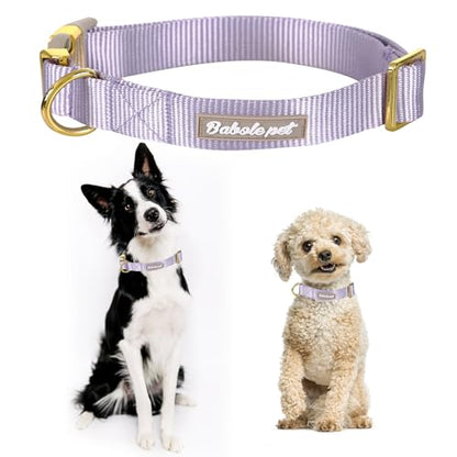 Nylon Dog Collar - Adjustable Lavender Soft Webbing Dog Collars for Small Medium Large Dogs Boy Girl Puppy Collar with Safety Metal Buckle XS - color: Nylon-Lavender, size: XS