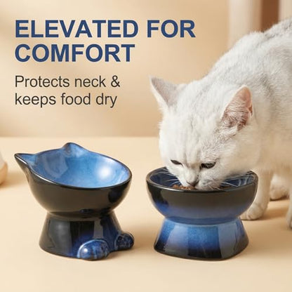 Nihow Elevated Cat Bowls,6 Inch Ceramic Raised Cat Food and Water Bowl Set | Slanted,Whisker Friendly,for Protecting Pet's Spine,Microwave & Dishwasher Safe ,Elegant Blue & Black,6.8 OZ - color: Blue & Black, size: 6.8 OZ+15.5 OZ