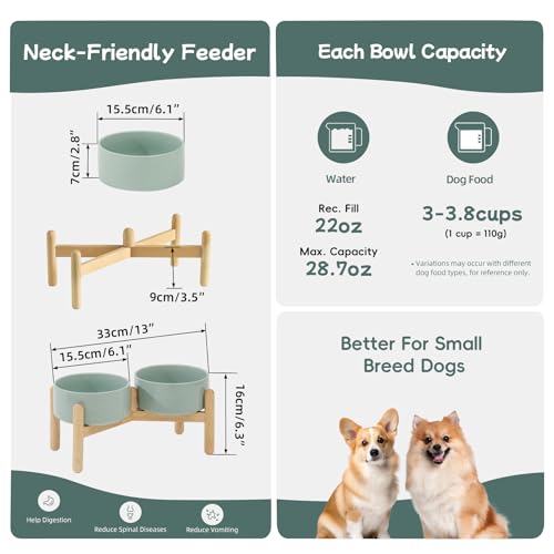 Havniva 6.1inch Ceramic Raised Dog Bowl with Stand, Double Dog Bowls Elevated for Small and Medium Breed Dog Food and Water Bowl Set Non-Slip Dog Dish Large Capacity Feeding Pet Water Bowl - color: 2 Bowls+Stand - Light Green, size: 6.1inch