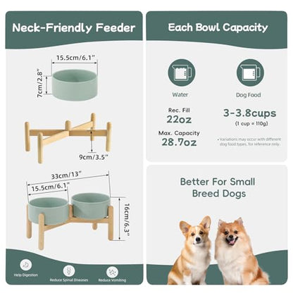 Havniva 6.1inch Ceramic Raised Dog Bowl with Stand, Double Dog Bowls Elevated for Small and Medium Breed Dog Food and Water Bowl Set Non-Slip Dog Dish Large Capacity Feeding Pet Water Bowl - color: 2 Bowls+Stand - Light Green, size: 6.1inch