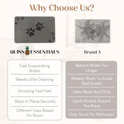 Quinn Essentials Dog Water & Feeding Mat Fast-Dry Diatomaceous Stone Tray for Bowls, Anti-Slip, Spill Control, Cleaner Area, Cat Feeding Tray, Travel Pet Mat