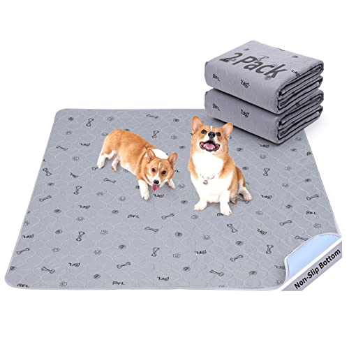 Washable Puppy Pads 2Pack , 41x41 Reusable Pee Pads for Dogs, Absorbent Whelping Pads with Bone Print, Waterproof Dog Rug Non-Slip Protector for Housbreaking,Potty Training,Bed Couch Carpet - size: 41X41" (Pack of 2)