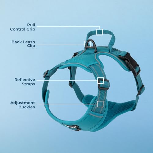 Voyager Dog Harness Dual Leash Attachment No-Pull Control Adjustable Soft but Strong Pet Harness for Medium and Large Dogs with 3M Reflective Technology, Turquoise Nylon, XS (Chest: 13-16") - color: Turquoise Nylon, size: XS (Chest: 13 - 16")