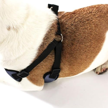 AKC Striped Step-in Dog Harness – No Pull Adjustable Vest with Dual D-Rings, Easy On/Off – Small, Medium & Large Sizes in Black, Gray, Navy & Red - color: Navy, size: Medium