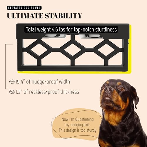 AVERYDAY Elevated Dog Bowls, 4 Height Adjustable Stand for Medium and Large Dogs, Raised Dog Feeder Holder with 2 Stainless Steel Food and Water Bowls, Anti-Slip Base Tall Feeding Station - color: Black stand + 2 food bowls, size: Large