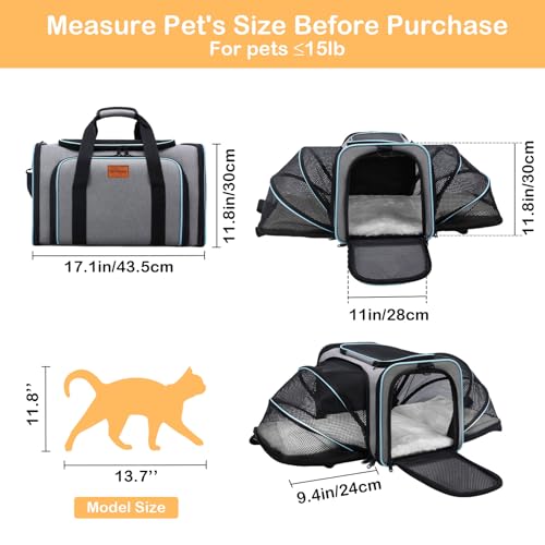 Expandable Airline Approved Pet Carrier, Soft-Sided Travel Bag for Small Cats Dogs with Hard Shell Base, Removable Fleece Pad, Ventilated Mesh, Gray (Blue Trim)