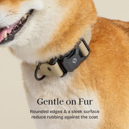 Fei & Eve VERO Dog Collar, Champagne, Medium | MagEase Magnetic Buckle, Waterproof PVC, Odor Resistant, Easy Clean, Heavy Duty - color: Champagne, size: M