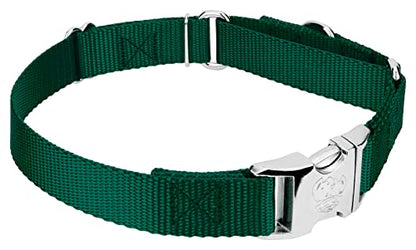 Country Brook Petz - Martingale Dog Collar - Heavy Duty Nylon Adjustable Martingale Dog Collar with Premium Buckle for Small Medium Large Breeds (5/8 Inch, Extra Small, Green) - color: Green, size: Extra Small (Pack of 1)