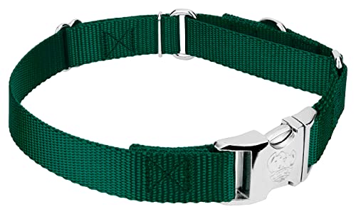 Country Brook Petz - Martingale Dog Collar - Heavy Duty Nylon Adjustable Martingale Dog Collar with Premium Buckle for Small Medium Large Breeds (5/8 Inch, Extra Small, Green) - color: Green, size: Extra Small (Pack of 1)