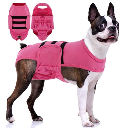 PUMYPOREITY Dog Diaper with Suspender, Escape-Proof Anti-Harassment Garment for Heat Cycle, Incontinence, Puppy Training, Senior Dog, M, Pink - color: Pink, size: Medium