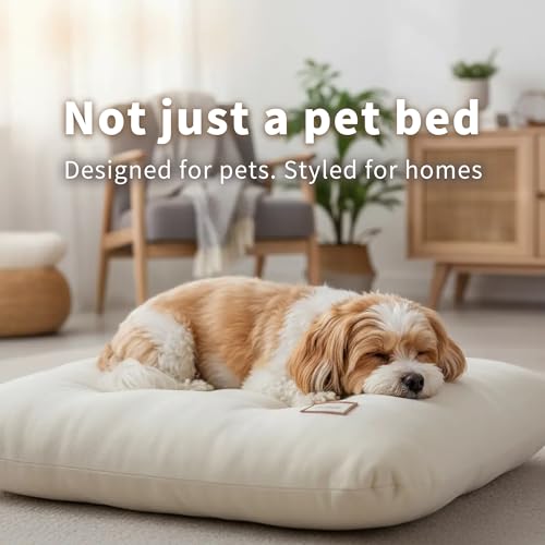 Washable Dog Bed Ultra Soft Plush Dog Crate Mat, Dog Bed for Crate, 3.2" Thick Dog Bed Mat, Kennel Pad for Small and Medium Dogs, Beige (Beige, 18" L x 18" W x 3.2" Th) - size: 18"L x 18"W x 3.2"Th