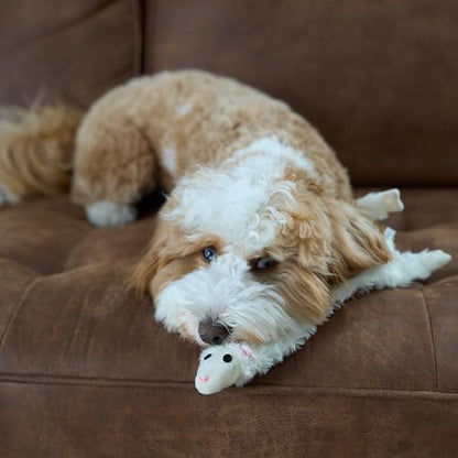 SPOT Skinneeez Crinklers Lamb - Stuffing-Free Dog Toy with Crinkle & Squeaker Sounds, Durable for Moderate Chewers, Tug Toy for Small Dogs & Puppies, 14in - style: Small Lamb