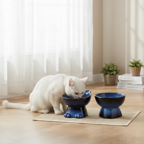 Nihow Elevated Cat Bowls,6 Inch Ceramic Raised Cat Food and Water Bowl Set | Slanted,Whisker Friendly,for Protecting Pet's Spine,Microwave & Dishwasher Safe ,Elegant Blue & Black,6.8 OZ - color: Blue & Black, size: 6.8 OZ+15.5 OZ