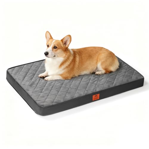 Orthopedic Egg Crate Foam Small Medium Dog Bed | 30x20 inch, supports up to 30 lbs, waterproof, machine washable, non-slip bottom, crate indoor use, dark grey - size: 30"L x20 "W x 3"Th