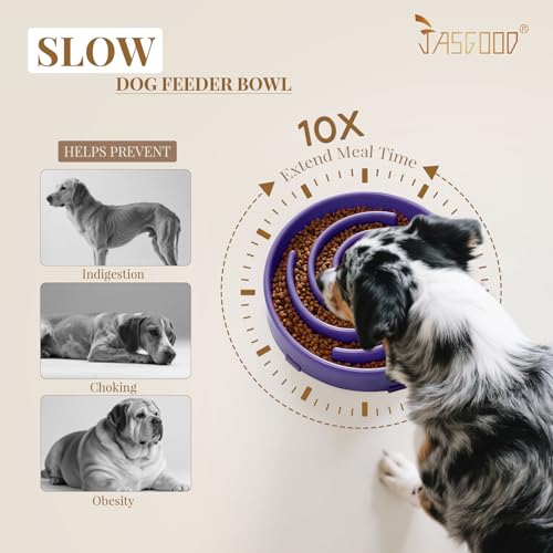 JASGOOD Slow Feeder Bowl for Large Dogs, Anti-Gulping Pet Bowl, Prevents Bloat & Choking - color: N-Taro purple