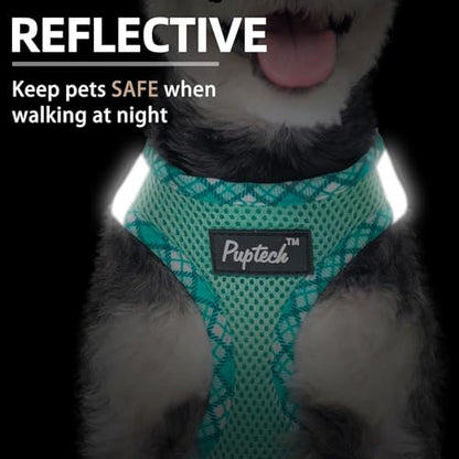 PUPTECK Dog Harness and Leash Set for Small Medium Dogs No Pull Step-in Soft Mesh Puppy Cat Vest Harnesses Reflective at Night, Green M - color: #1 Green(Basic Mesh), size: M(CHEST 16"-18", 11-18 lbs)