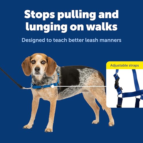 PetSafe Easy Walk No-Pull Dog Harness - Ultimate Harness to Help Stop Pulling - Pull-Free Walks - Take Control & Teach Better Leash Manners - Patented Martingale Loop Design - Royal Blue, Small/Medium - color: Royal Blue/Navy Blue, size: Small/Medium