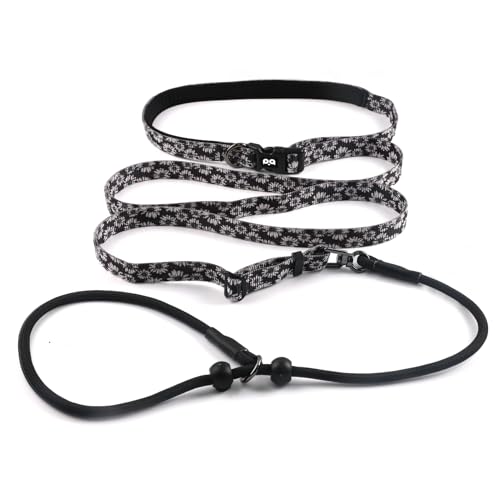 QQPETS Adjustable Slip Lead Dog Leash, Hands Free Waist Leash for Dog Walking, Reflective Training Lead with 360° Swivel Anti-Tangle, 4-7 ft Length for All Breeds - color: White Daisy