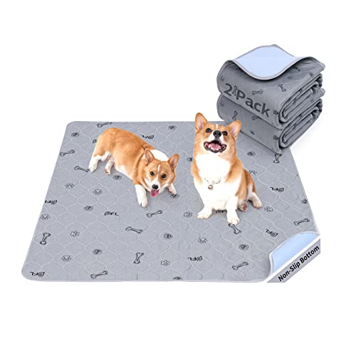 Washable Pee Pads for Dogs, 2Pack Reusable Puppy Pads, Absorbent Whelping Pads with Bone Print, Non-Slip Waterproof Pet Training Pads for Couch, Crate, Potty Training 18x24 - size: 18X24" (Pack of 2)