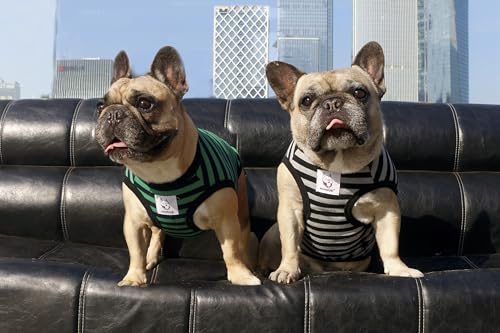 iChoue English Bulldog 100% Breathable Cotton Striped T Shirts Halloween Vest Clothes for Medium Dogs Tank Tops French Frenchie Pug Boston Terrier Pitbull Grey Black Stripes - XLarge - color: Classic Stripe Black Grey, size: X-Large ( 45 - 55 lbs )