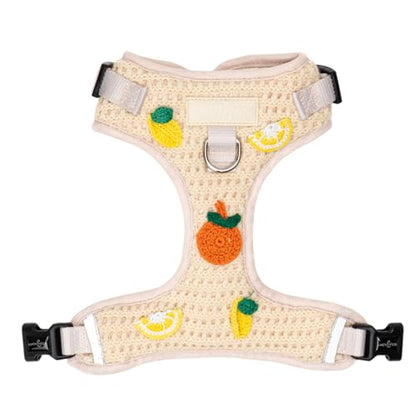 Lucy & Co. Main Squeeze Crochet No-Pull Dog Harness, Adjustable Front Clip Harness with Comfort Padding, X-Large - color: Main Squeeze, size: X-Large