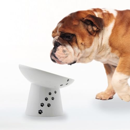 Necoichi Raised Dog Food Bowl, Elevated, for Dogs and Cats, Pets Feeding Feeder Non-Slip for Small Dogs Dishwasher and Microwave Safe, No.1 Seller in Japan! (Dog, Extra Wide Tilted) - size: Extra Wide (Pack of 1)