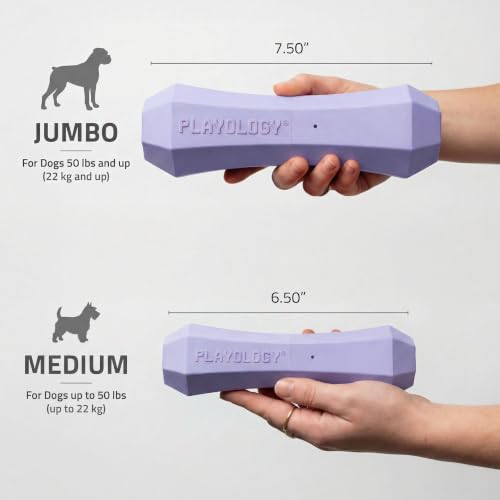 Playology Dog Toys | Squeaky Chew Stick for Large Dogs | Lamb Scented Jumbo Fetch Toy | Squeaky Dog Chew Toy - size: Jumbo, style: Lamb