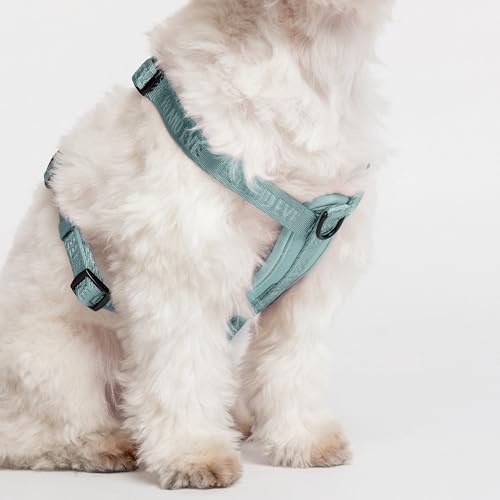 Fei & Eve Moxie Dog Harness for Small & Medium Dogs, Glacier Green, S | Lightweight Design, 3-Point No-Pull Control, Quick Release Metal Buckle - color: Glacier Green, size: S
