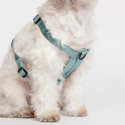Fei & Eve Moxie Dog Harness for Small & Medium Dogs, Glacier Green, S | Lightweight Design, 3-Point No-Pull Control, Quick Release Metal Buckle - color: Glacier Green, size: S