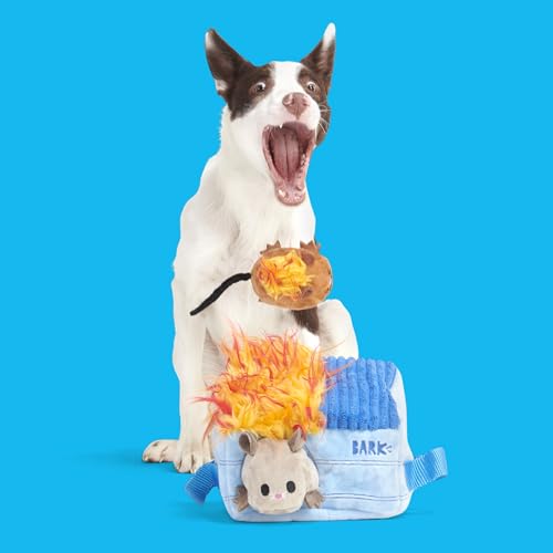 BarkBox Hide N' Squeak Dumpster Fire Dog Toy | 3-in-1 Plush Set with 2 Squeakers, Crinkle & Woven Strap | for Extra Small to Small Dogs - color: Dumpster Fire
