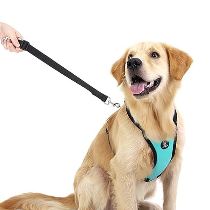 VavoPaw Dog Seat Belt, Safety Vest Dog Car Harness with Adjustable Buckle Dog Seat Belt for Vehicle Nylon Pet Safety Seat Belts Heavy Duty(L, Blue) - color: Blue, size: L (Chest: 22-32.3", Neck: 16.9-26")