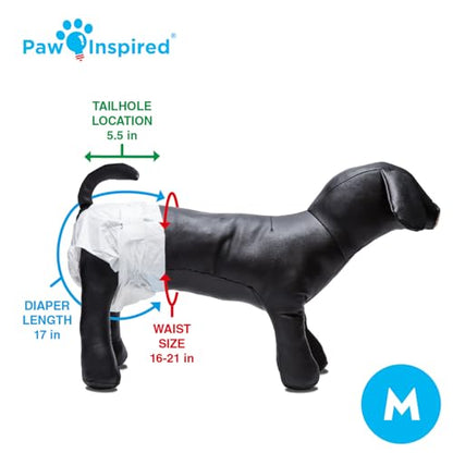 Paw Inspired Disposable Dog Diapers | Female Dog Diapers Ultra Protection | Diapers for Dogs in Heat, Excitable Urination, or Incontinence (144 Count, Medium) - size: Medium (144 Count)