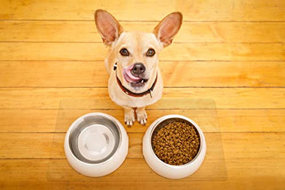 Clear Pet Bowl Mat, USA Made, Safe, Waterproof, 18 x 24 Inch, 2mm Thick Smooth Vinyl, Floor Protection, Dog Cage Mat, Under Aquarium Mat - color: Crystal, size: 18 x 24 Inches