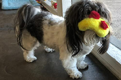 Glory To Dog TinyToy Plush Yellow Duck Very Small Unstuffed Dog Toy - style: Duck