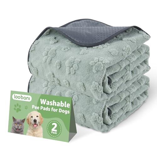 LOOBANI Washable Pee Pads for Dogs: 2 Pack Super Absorbent Reusable Puppy Pads, Leakproof and Waterproof Dog Training Pads Whelping Pads for Potty, Floor, Crate, Couch Bed and Travel, 36"x24" - color: Green Dog Element, size: 36"x24"(Pack of 2)