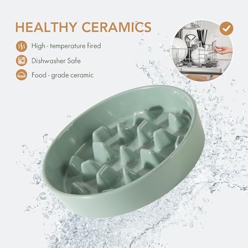 Havniva Ceramic Slow Feeder Dog Bowls, 3.2 Cups Dog Bowl Slow Feeding for Medium and Large Breed, 9.5inch Puzzle Dog Food Bowl Slow Feeder Non-Slip Anti-Gulping and Anti-Choking Reduces Bloating - color: 1 x Light Green-C, size: 9.5inch